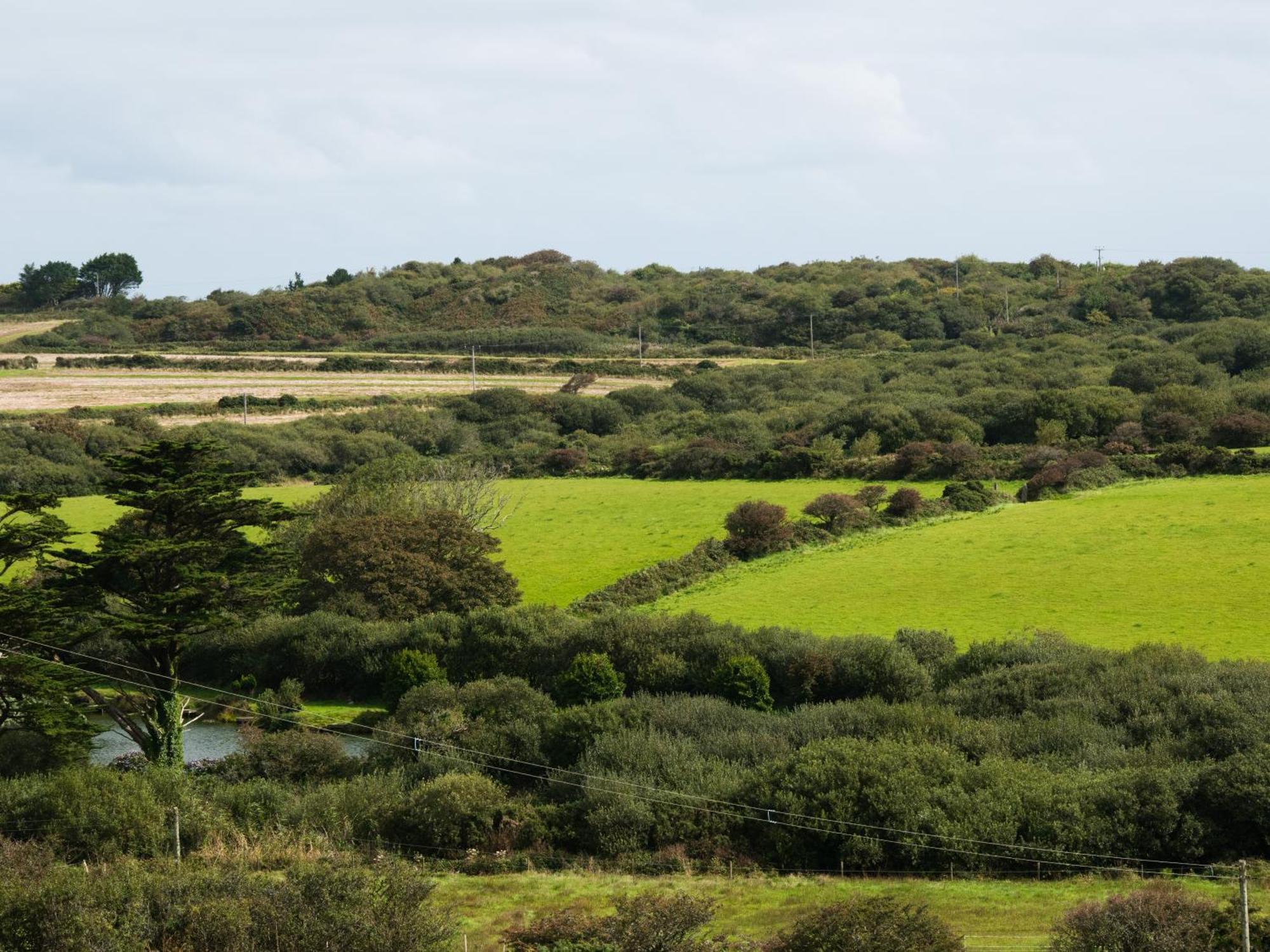 Rosecott Vila St Ives Exterior foto